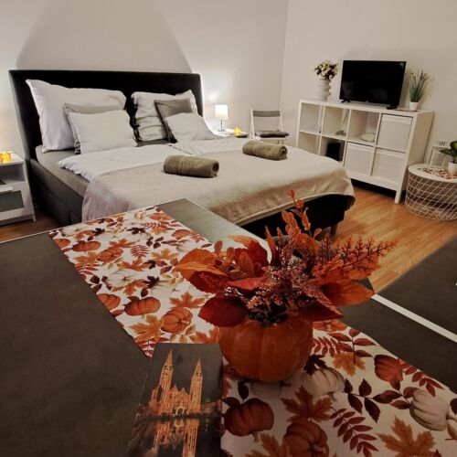 Jelena Apartman Szeged 