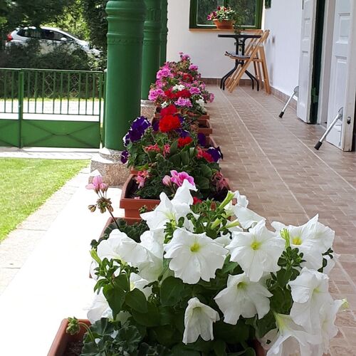 Jolanda Vendégház Szálka 1 Jolanda Vendégház Szálka