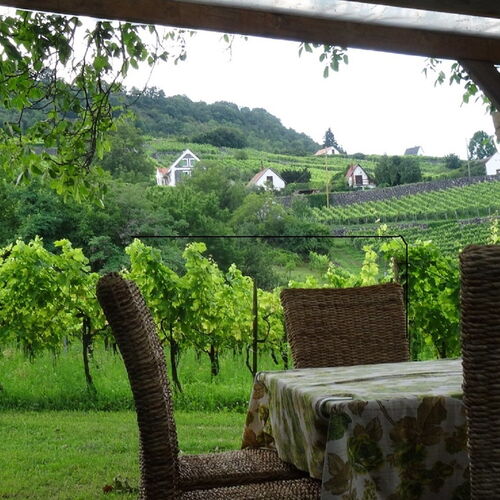 Juhfarkliget Vendégház Somlóhegy 