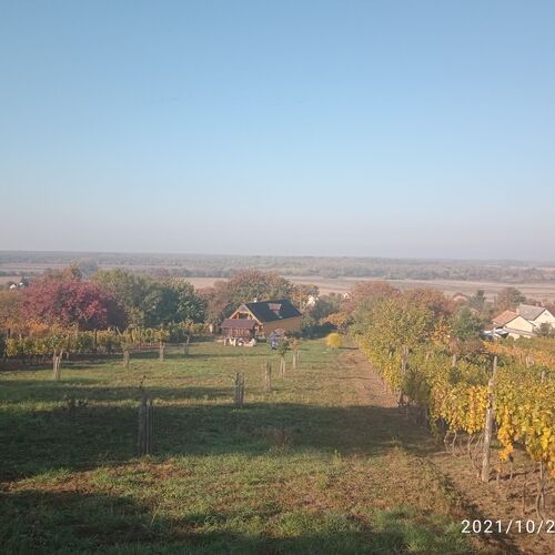 Pálinkás Vendégház Békésszentandrás 