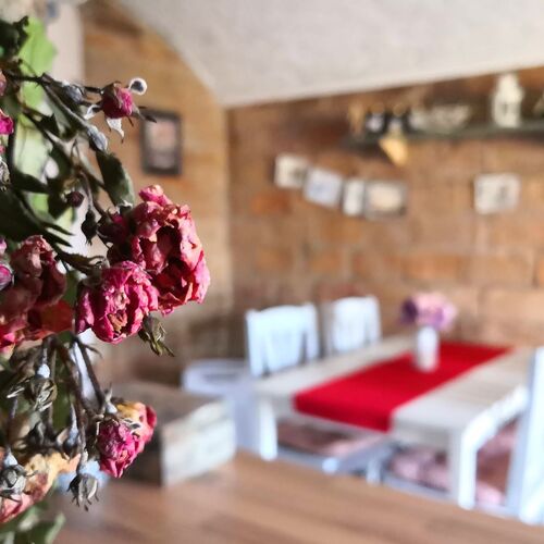 Kakukkfű Barlang Vendégház Noszvaj 