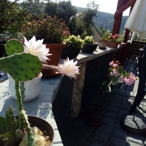 Káli Apartman Bakonybél 3 Káli Apartman Bakonybél