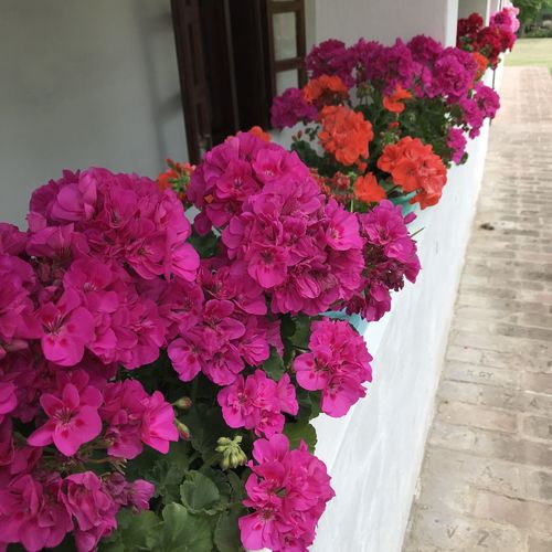 Kán Csodavilág Vendégház Hetvehely 