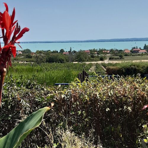 Kapitány Apartman Lovas 