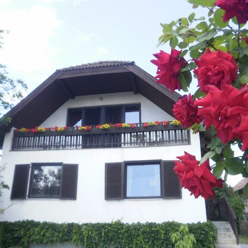 Kardos Apartman Gyenesdiás 