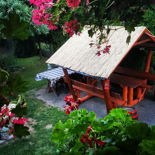 Kata Apartman Vásárosnamény 