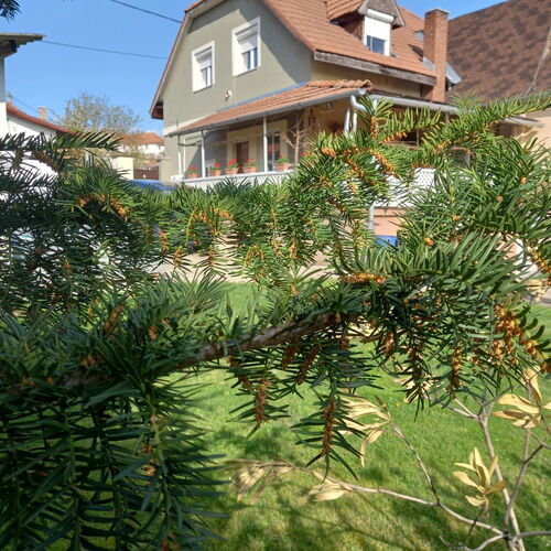 Levendulazug Vendégház Cserháthaláp 