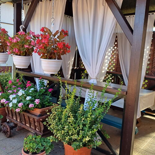 Pihenő Apartman Csókakő 