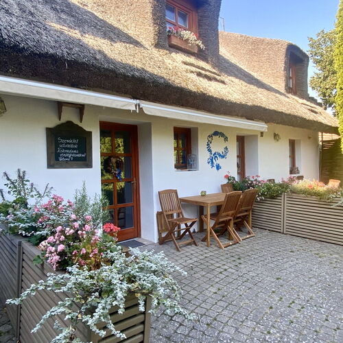 Starlight Bronze Exclusive Szeged 