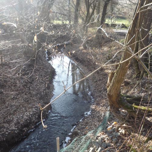 Kikerics Erdei Szálláshely és Turistapihenő Zebegény 
