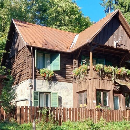 Királykunyhó Erdősziget Privát tóval Visegrád 