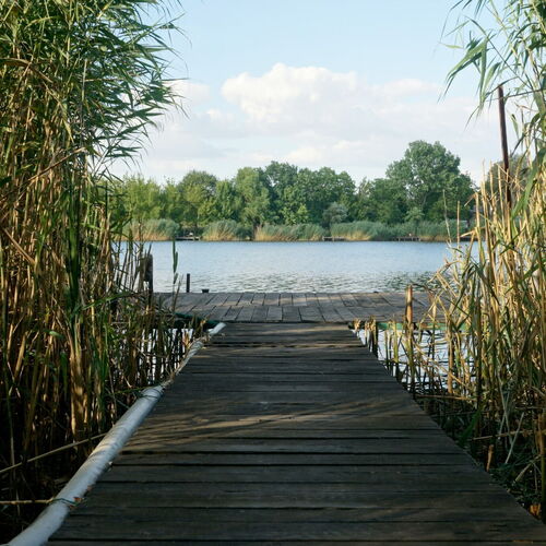 Vadszőlő Apartman Balatonmáriafürdő 