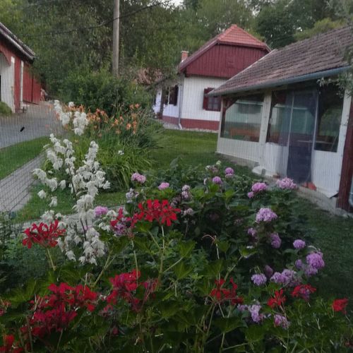 Kisaranyos Vendégház Velemér 