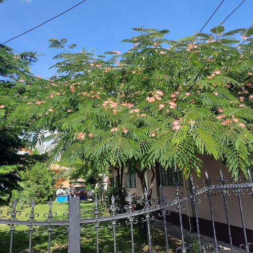 Kisfaludy Vendégház Abádszalók 1 Kisfaludy Vendégház Abádszalók