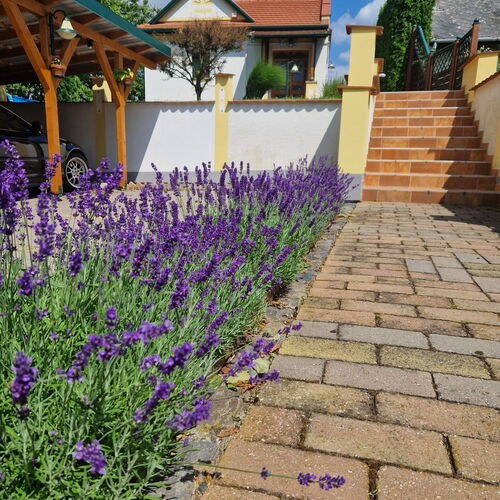 Kishegyi Vendégház Zalaegerszeg 2 Kishegyi Vendégház Zalaegerszeg