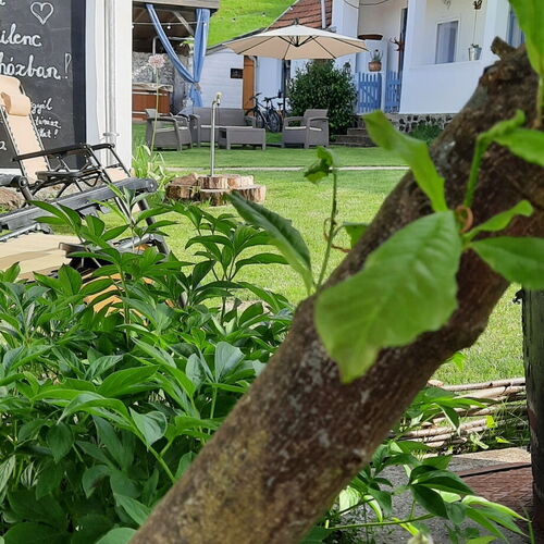 Kiskilenc Vendégház Szarvaskő 