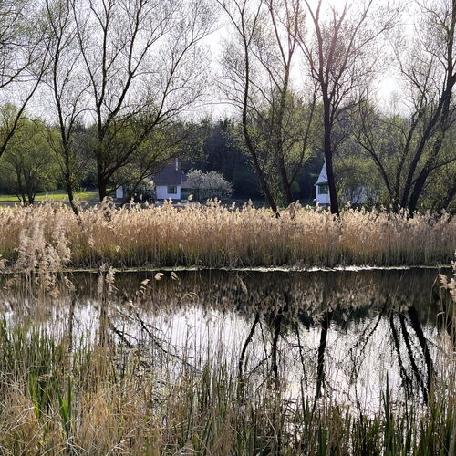 Somló Éden Somlószőlős 