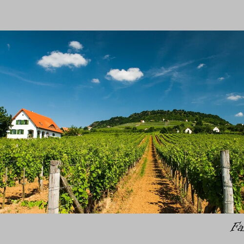 Kolonics Kúria Vendégház Somlóvásárhely 1 Kolonics Kúria Vendégház Somlóvásárhely