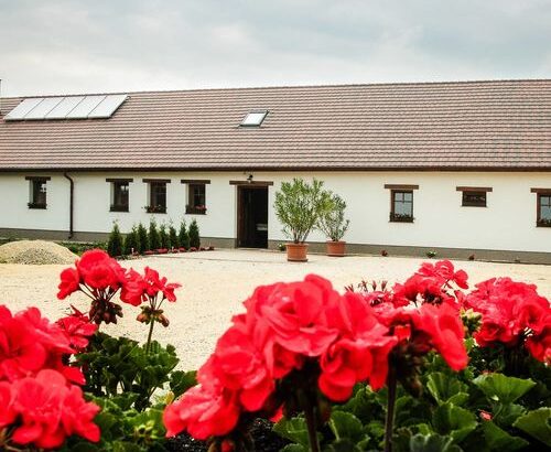 Kőpince Vendégház Bakonyszentlászló 