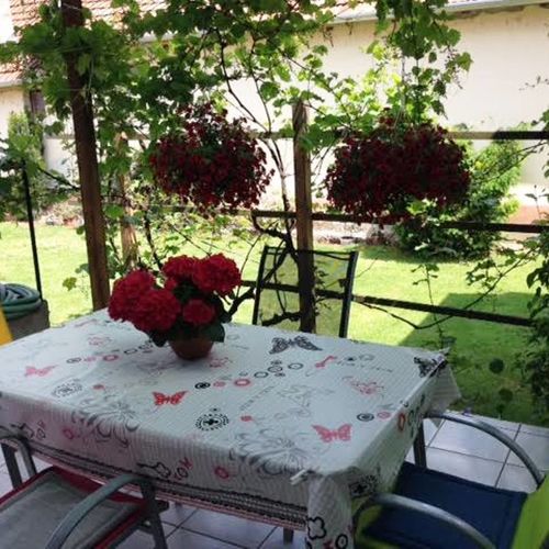 Körösparti Pihenő Gyula 