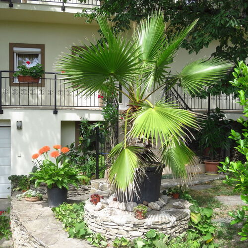 Kővirág Apartman Hévíz 