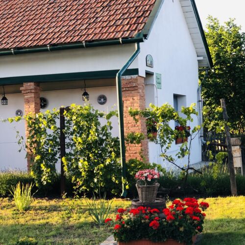 Kupica Vendégház Abádszalók 