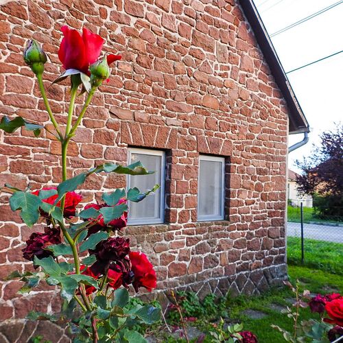Lake Vendégház Alsóörs 