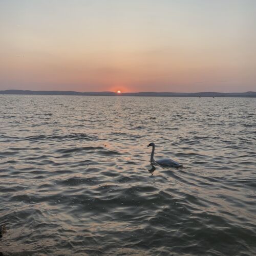 Komlósi Vendégház Hajdúszoboszló 