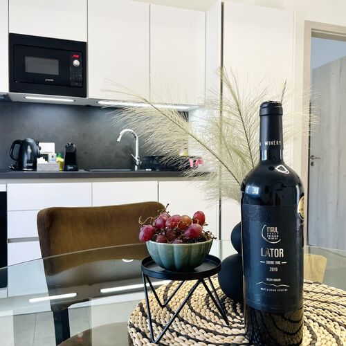 Vivien Apartman Gyula 