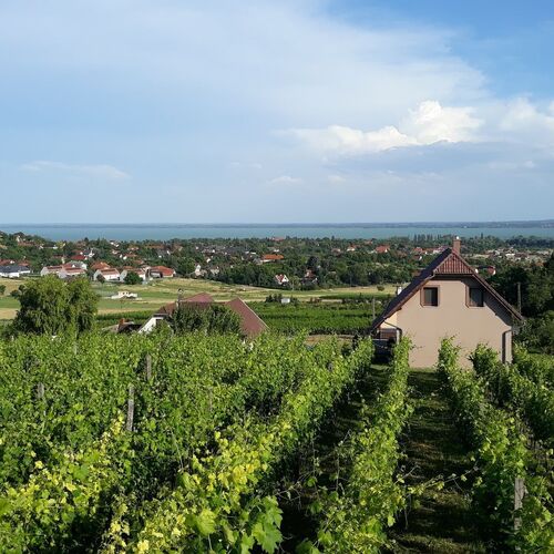 Kékszilva Vendégház Pap 