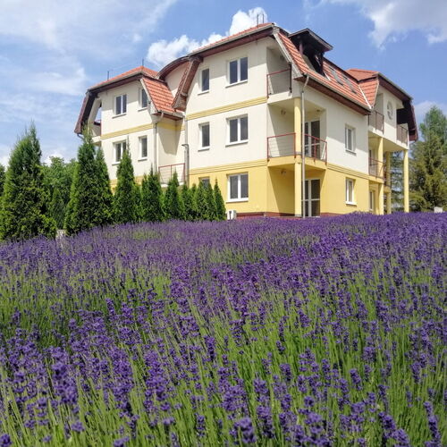 Nefelejcs Vendégház Szilvásvárad 