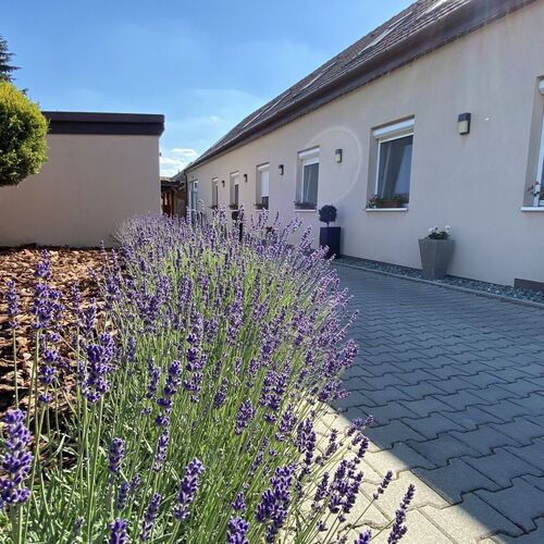 Levendula Vendégház Győr 