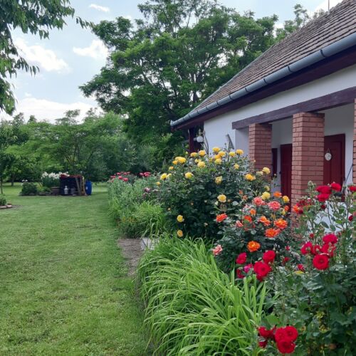 Levendula Vendégház Poroszló 1 Levendula Vendégház Poroszló