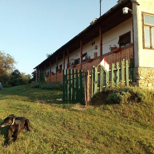 Levendulás Ház Tornabarakony 