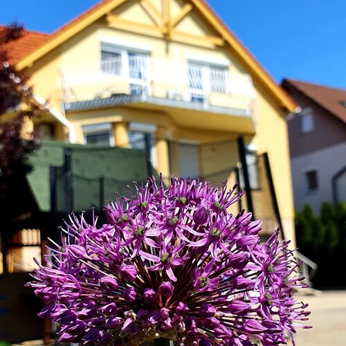 Li-Do Vendégház Balatonfüred 