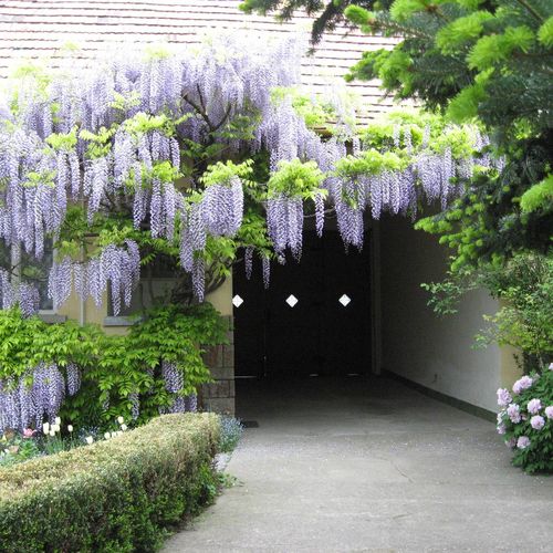 Balla Apartman Zalakaros 