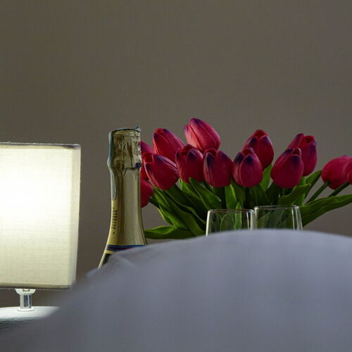 Platán Udvarház Tata 