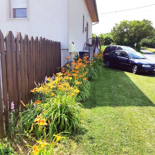 Liliom Apartman Rezi 