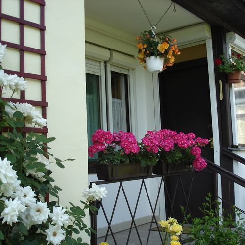 Pálma Apartman Cserkeszőlő 