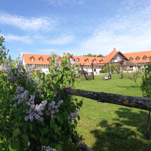 Lóbarát Lovasudvar Panzió Cserszegtomaj 