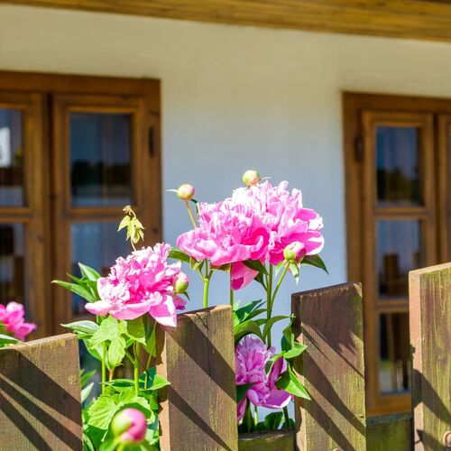 Lóci Palócház Vendégház Nagylóc 