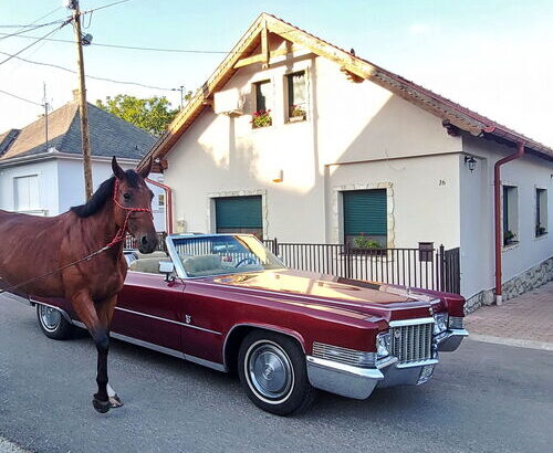 Lórájder Vendégház Szilvásvárad 