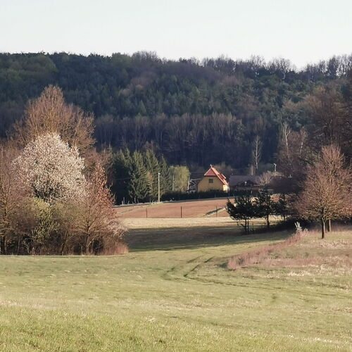 Lugosvölgyi Vendégház Kondorfa 