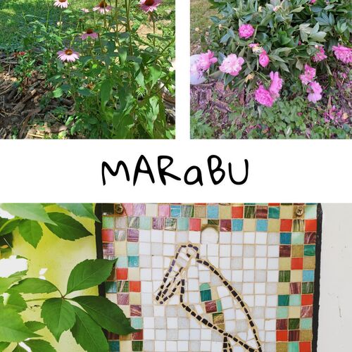 Villa Anita Balatonakarattya 