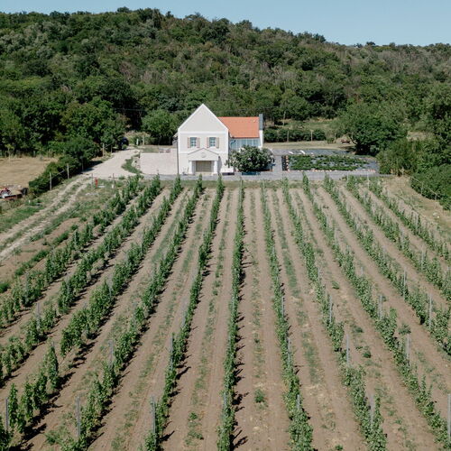 Kék Bárka Vendégház Bánk 