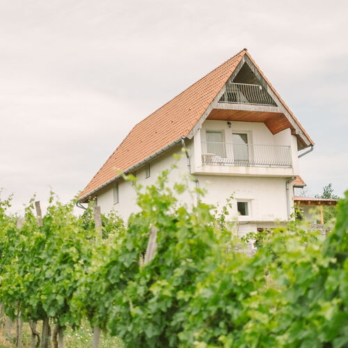 MacskaFészek Vendégház Kissomlyó 