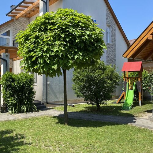 Magyar Apartman III. Hajdúszoboszló 