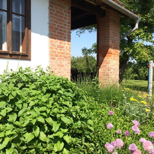 Primo Kuckó Apartman Székesfehérvár 