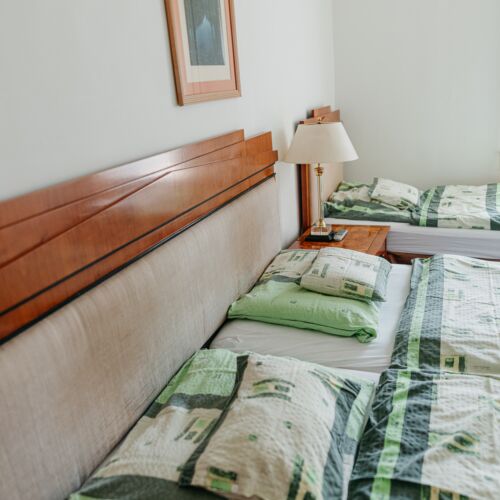 Malomerdő Panzió Pusztavám 