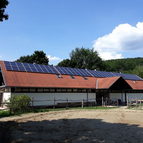 Medvefül Vendégház Hárskút 